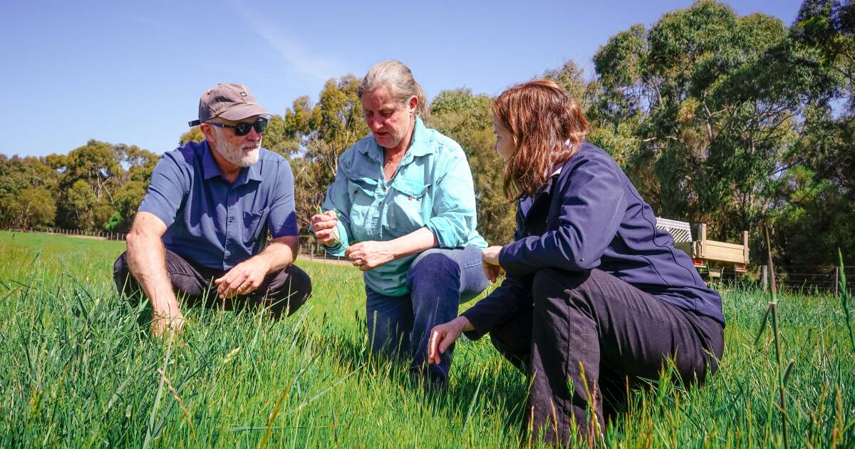 Methane and carbon science: How it all adds up