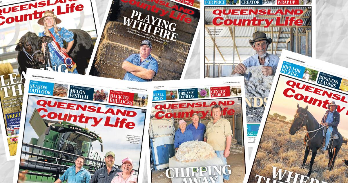 Look back on QCL's year through covers