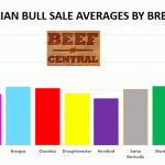 Market holds firm at Gracemere cattle sale