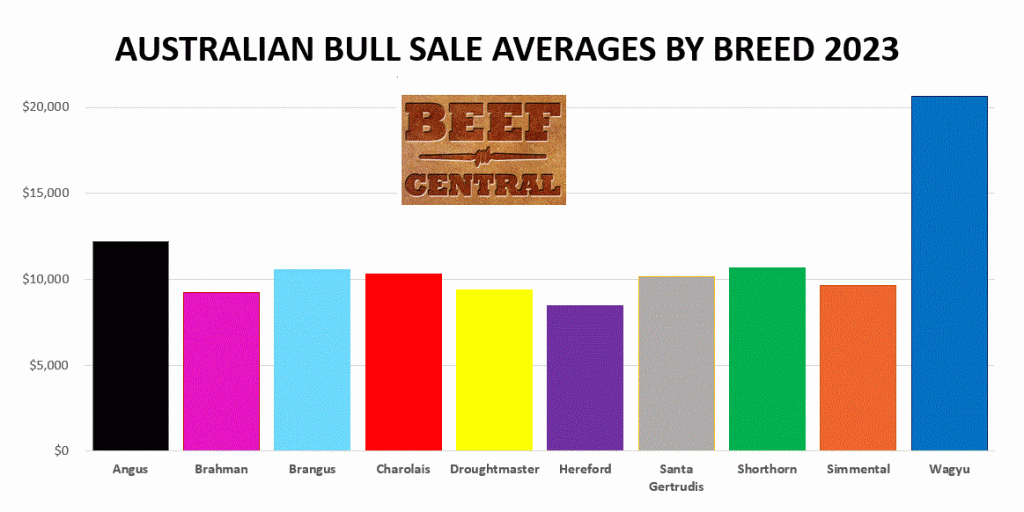 2023 bull sales: Your complete guide to major beef breeds’ results and trends