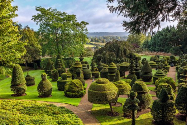 George Harrison’s Garden: How the Beatle and his wife turned a ‘tangled jungle’ into a magnificent garden