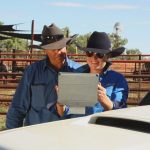 Excellent rain pushes up prices at Dubbo store sale