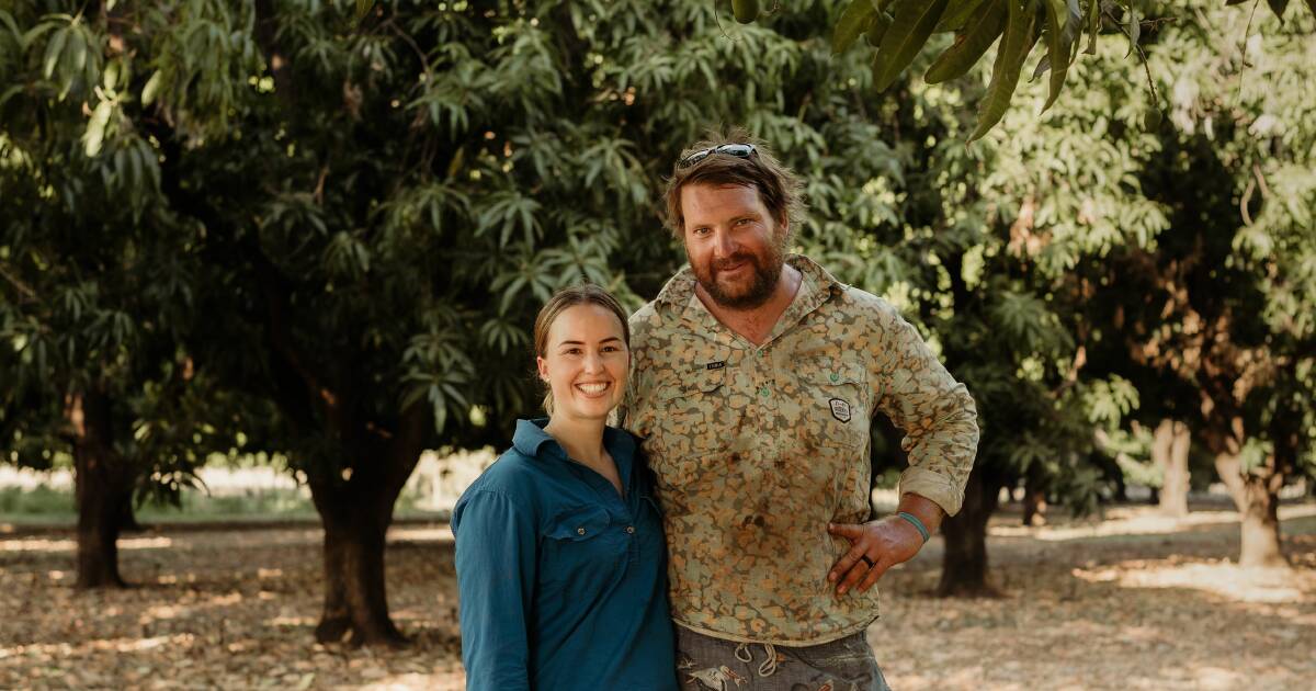 Policeman and nurse have a mango tree change