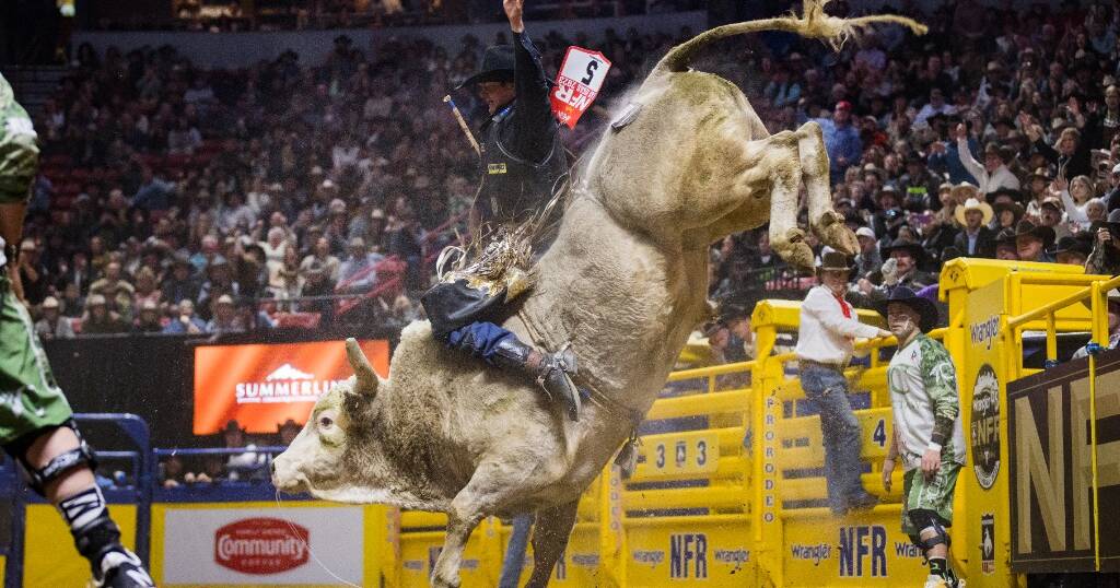 Bull rider Ky Hamilton’s historic win at US National Finals Rodeo | North Queensland Register