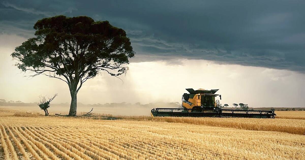 Not long to go now before WA's harvest is called for the year