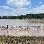 Duck Creek Pilliga Forest bushfire remains uncontained after overnight rain