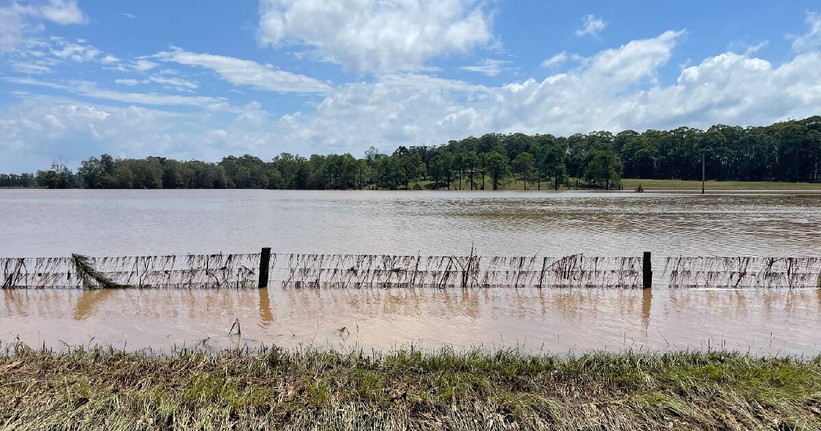 Coastal floodplain drainage plan up for a new year review