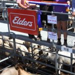 ACCC will not oppose Coles plan to buy Saputo Sydney and Melbourne factories | Farm Weekly