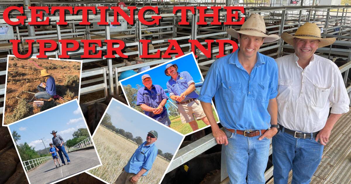 Redundant consultation, lost carbon, toxic weed warning and a supply surge: Getting the Upper Land episode 23 | The Land