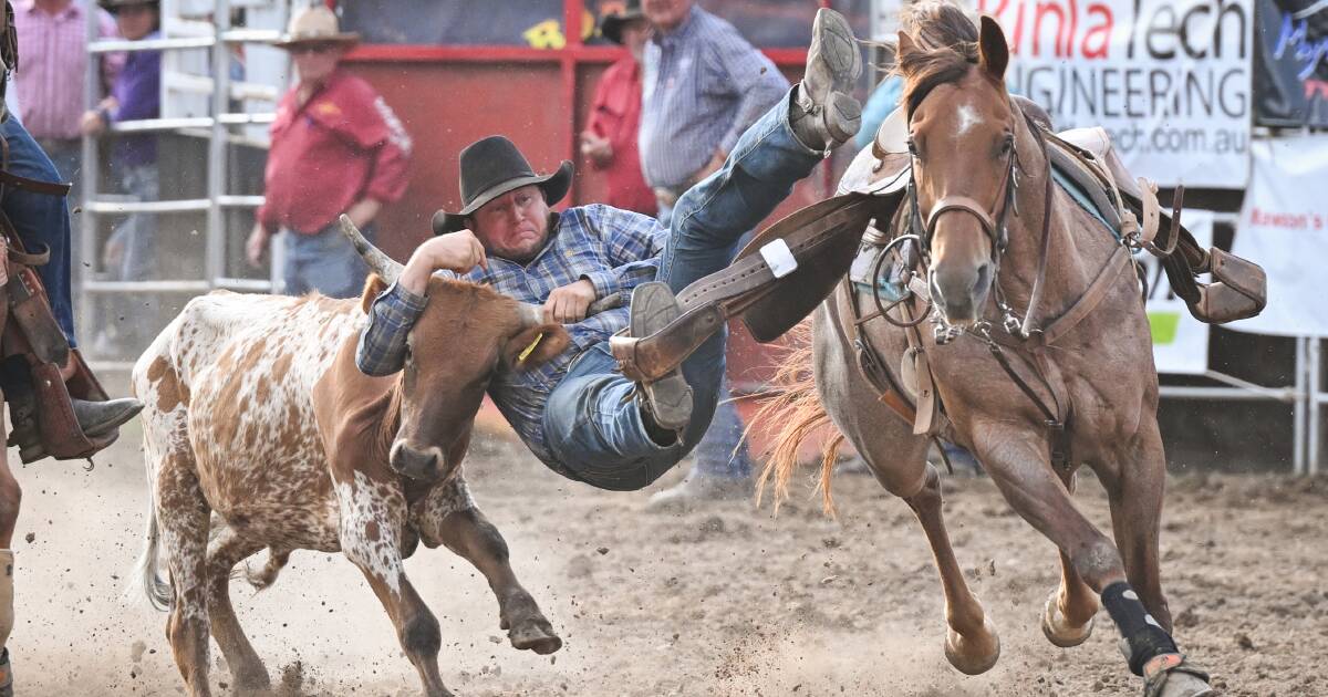 Gallery: Myrtleford rodeo revellers relish improved weather conditions