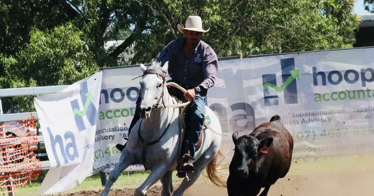 Campdraft's Mr Congeniality