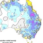 Upper Hunter receives needed rainfall just in time for Christmas. | The Land