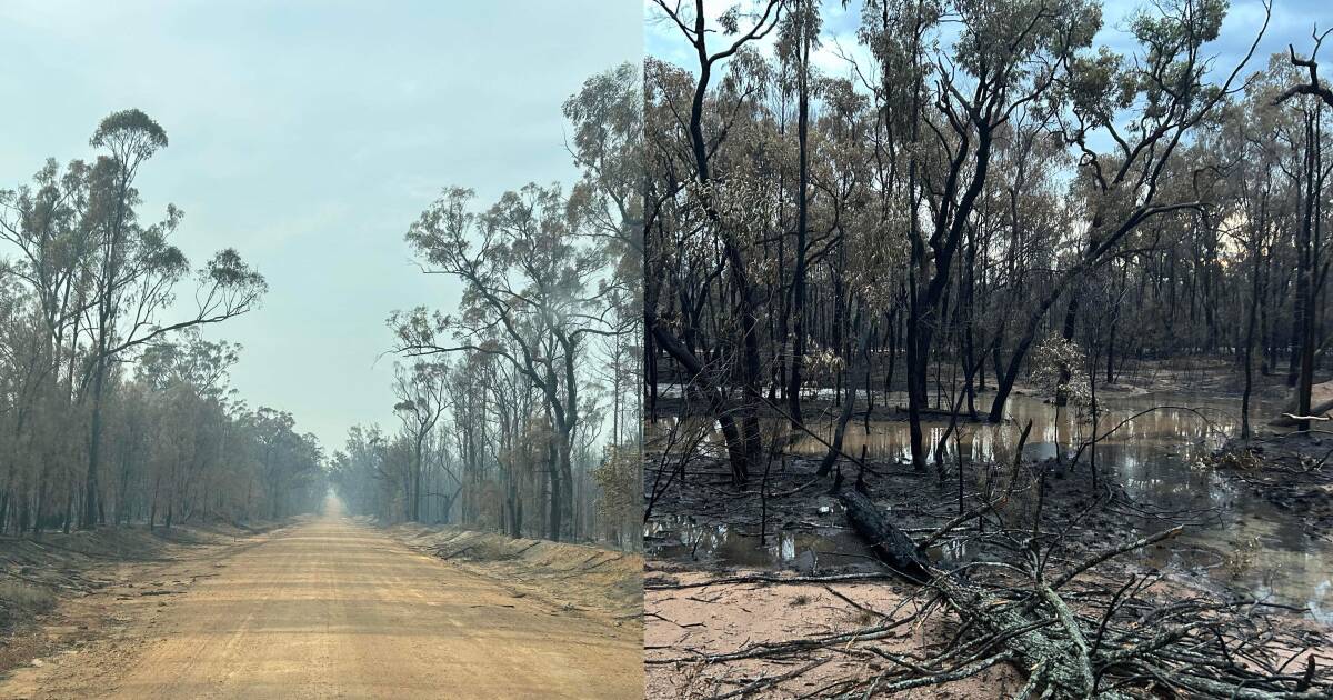 Fire followed by rain: Producers start to assess damage as Duck Creek fire continues