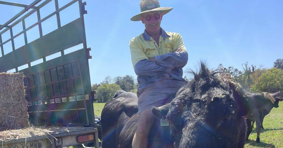 How to survive a stroke: Get fast relief, advises Tweed Valley farmer | The Land