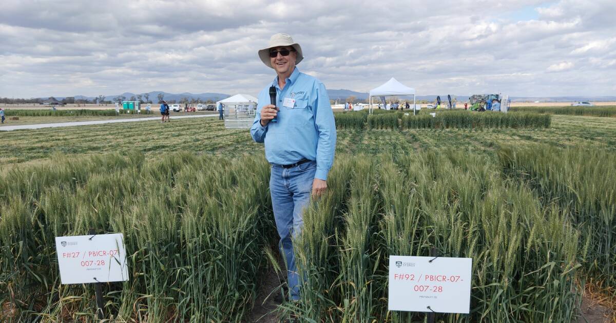 William Farrer Medal goes to Professor Richard Trethowan