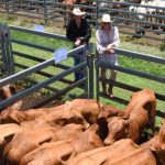 Rain turns the tables on summer crop plantings