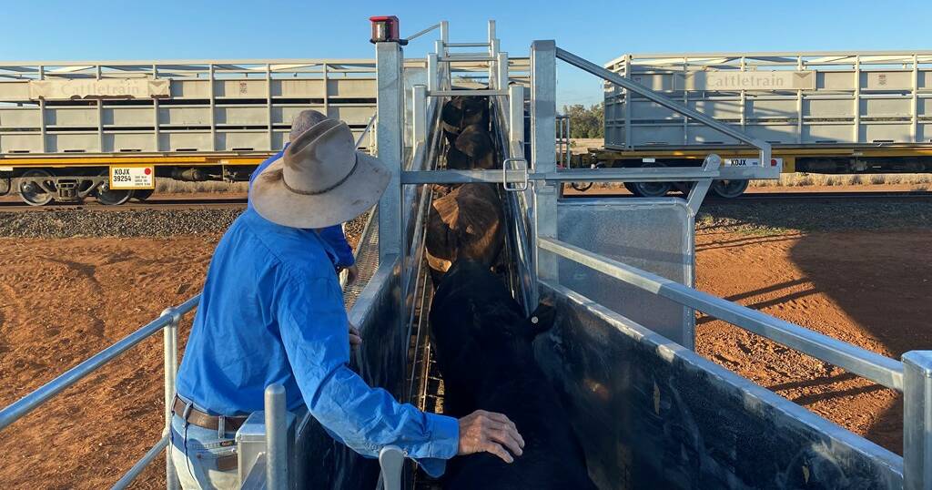 How 'vital' funding will move more cattle through the North West