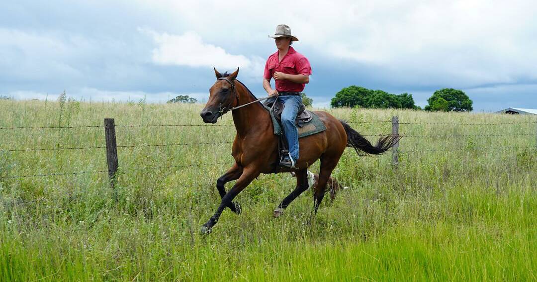 Bundaberg Tik Tok star Tylen Wallace shares business plans, stud launch