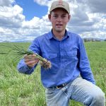 RAPAD renewable energy power grid through Barcaldine announced | Queensland Country Life