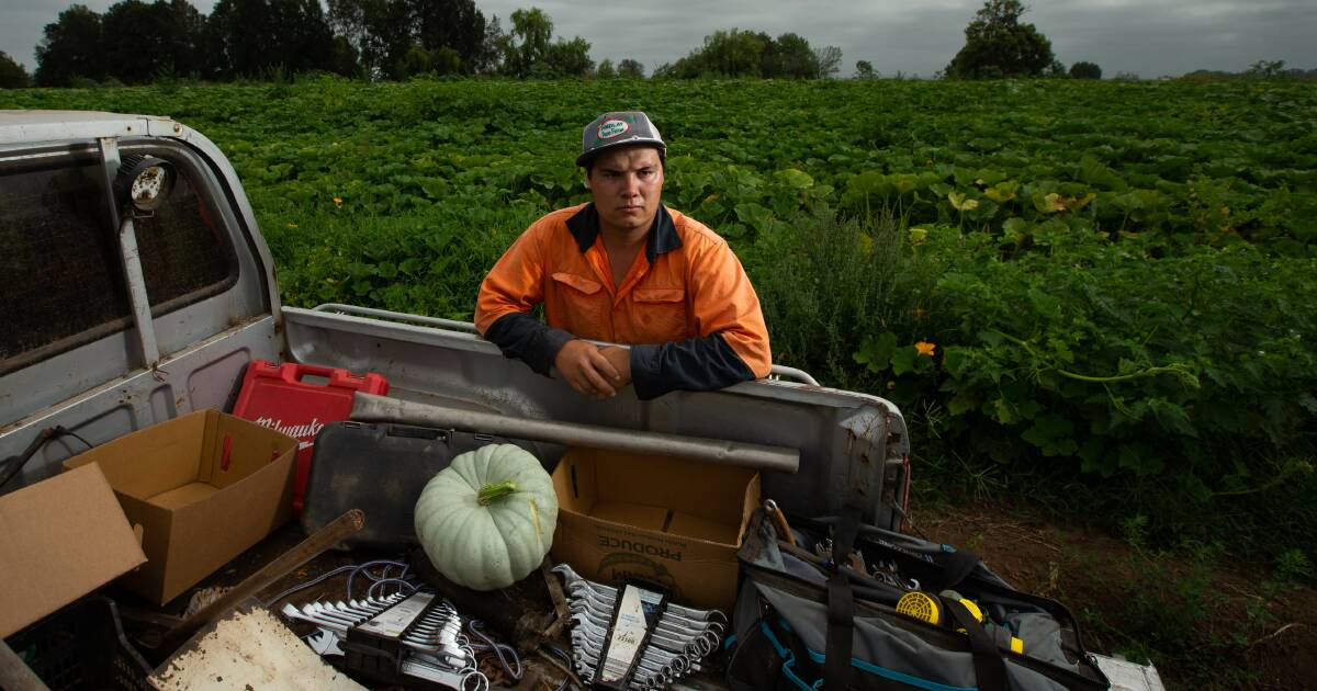 Honey bee delay cripples local pumpkin farmers