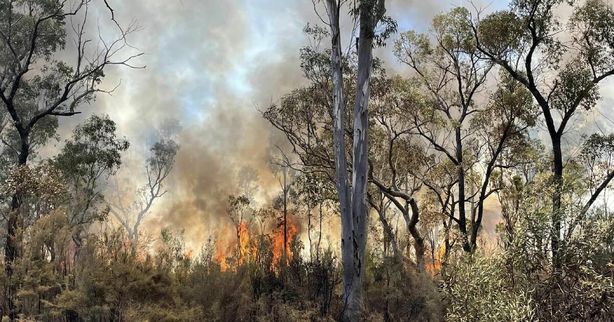 Uncontained bushfire in Pilliga Forest expected to spread