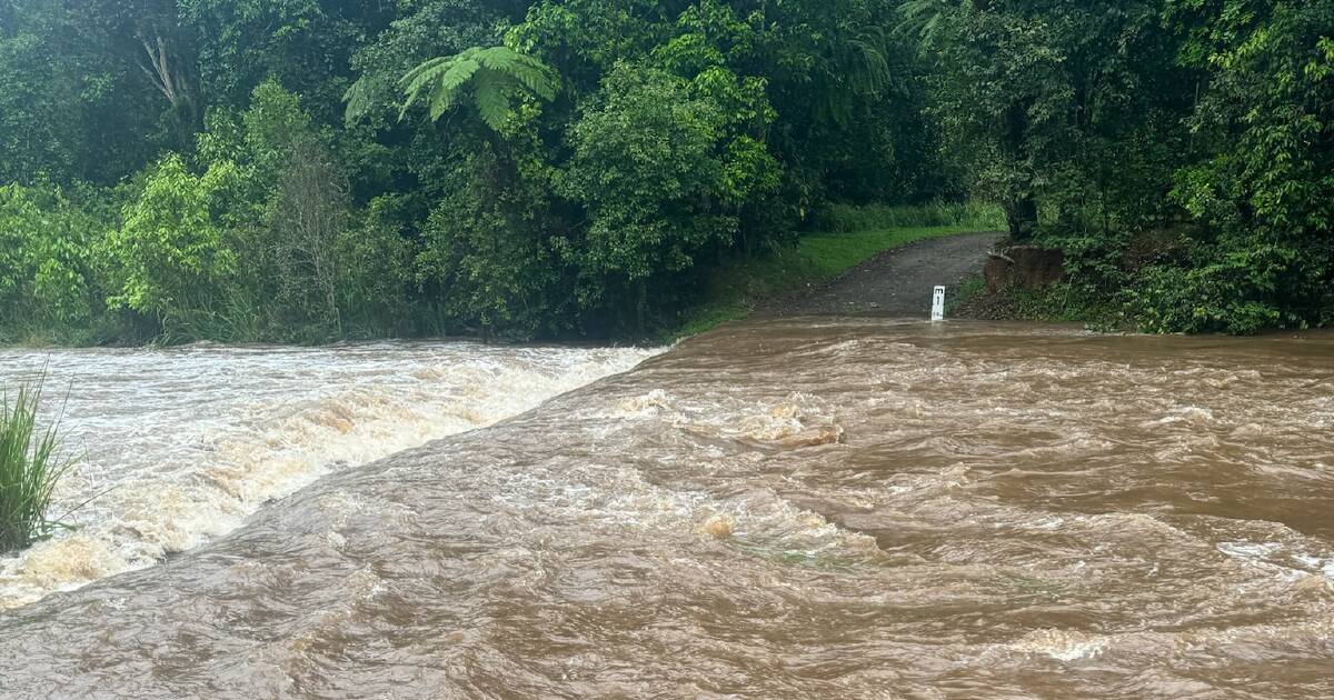 Wettest December day in Far North Queensland impacting producers | North Queensland Register