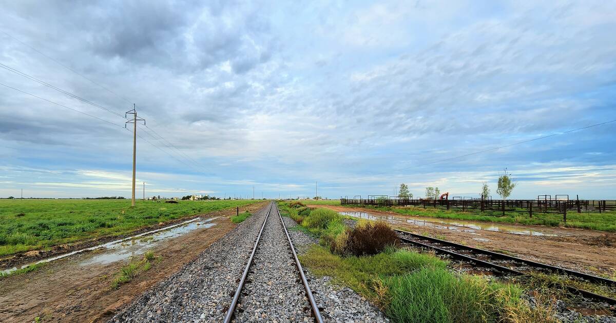 Cattle rail yards receive vital investment boost