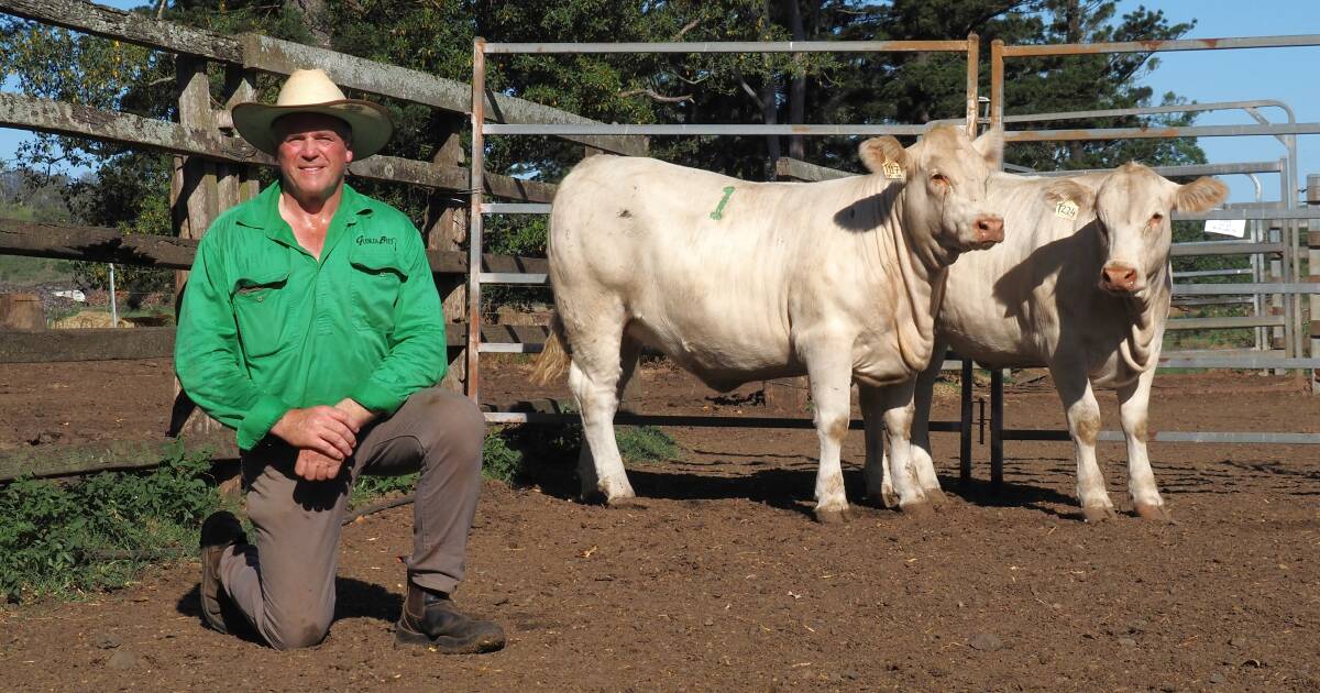 Glenlea's $15,000 Charolais tops nation for the third year in a row