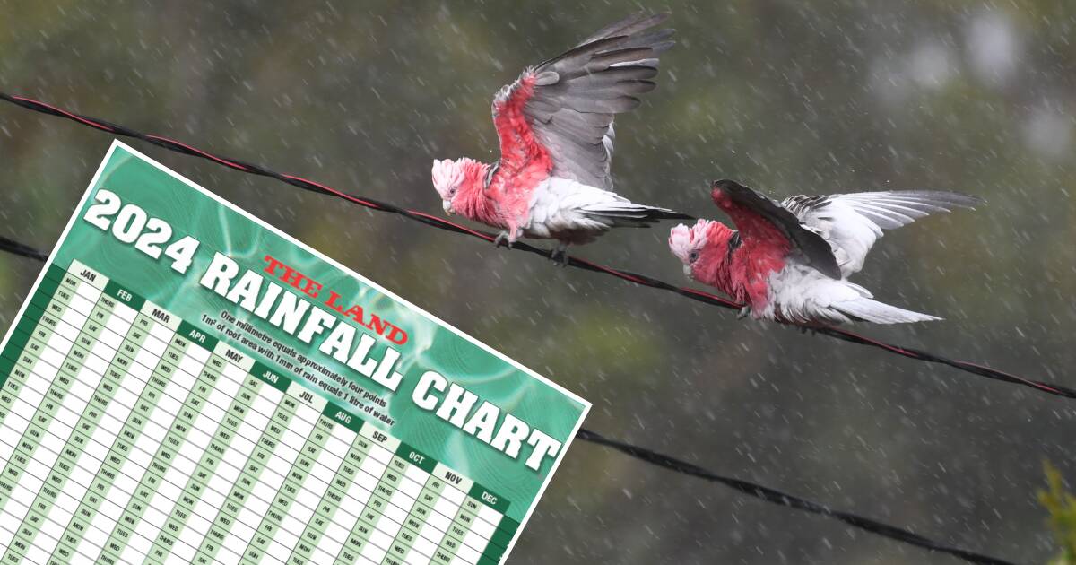 Get your rainfall chart in the December 21 edition of The Land