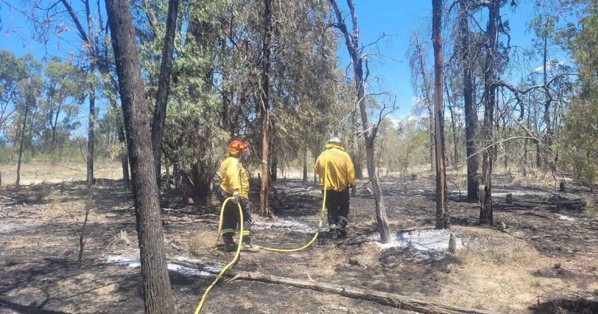 Crews getting on top of Pilliga fire, wary of forecast lightning storm | The Land