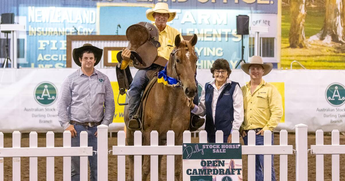 Competitors and vendors from far and wide at Dalby campdraft | Queensland Country Life