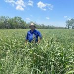 Getting a handle on handling blotch in low rainfall zones