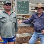 Gandy Angus bull sells to top of $15,000