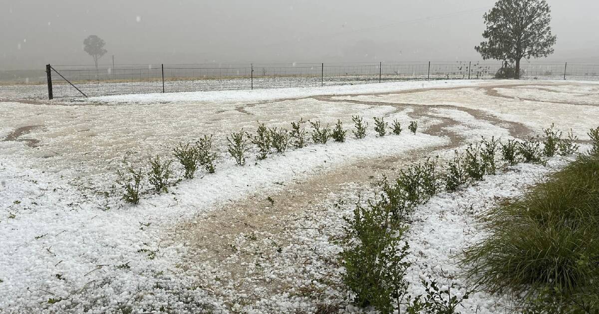 Christmas takes a pounding from the weather