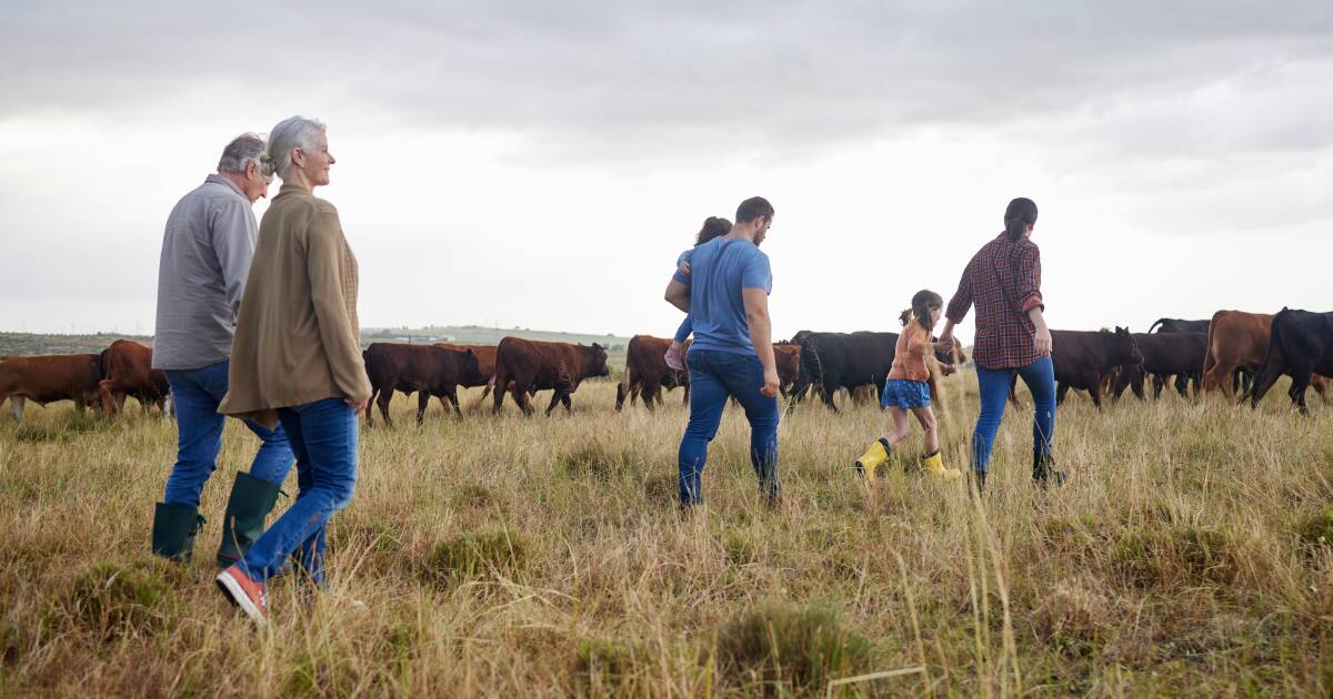 Zero hunger, zero emissions: UN outlines how livestock can lead the way