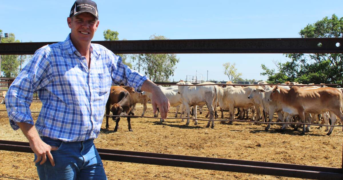 Cloncurry rail yards to receive 'overdue' facelift