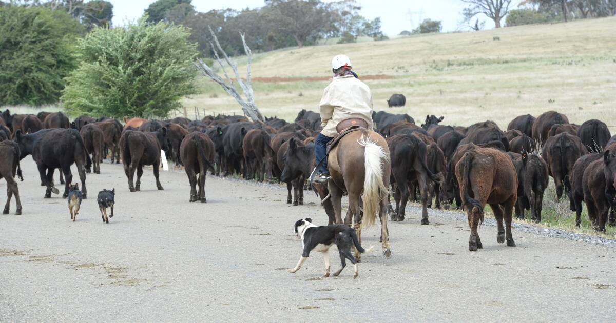 Farm panel set to review ag's raft of industry codes