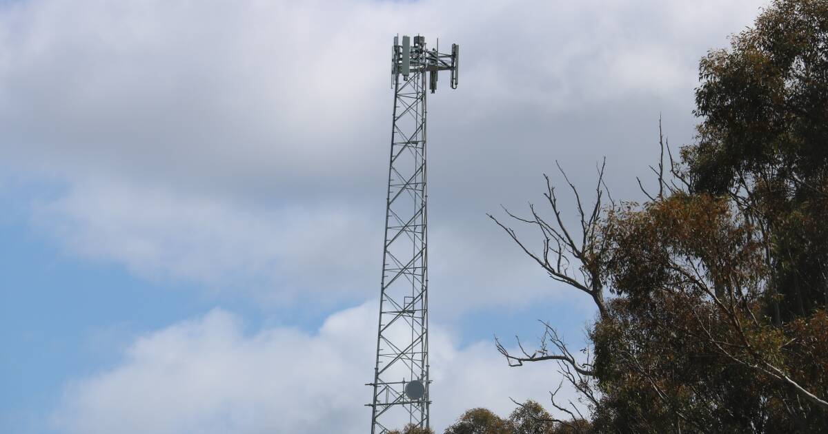 Your mobile phone call is not connected in the bush