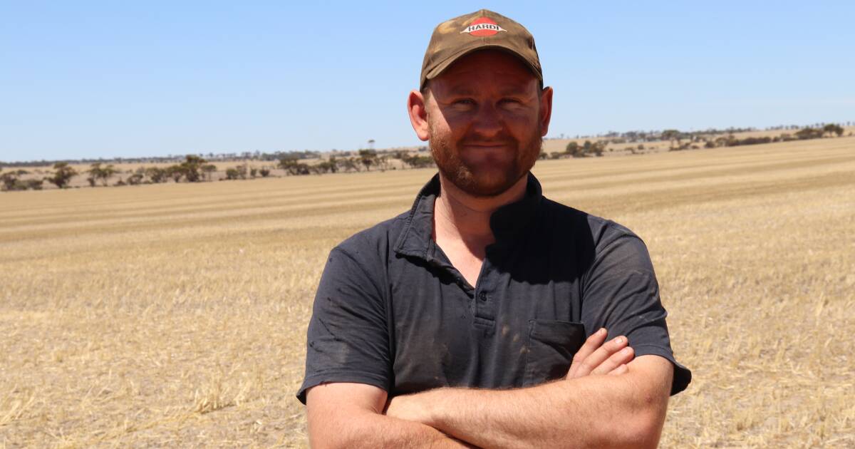 Frost and drought hits Wheatbelt yields. | Farm Weekly