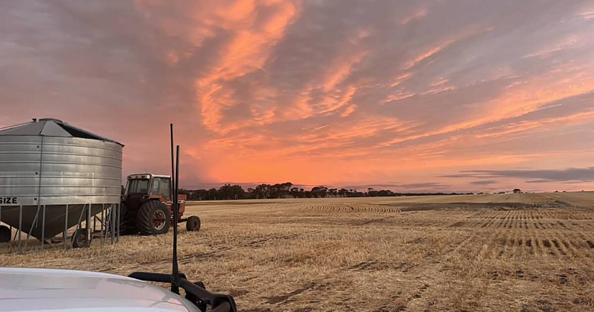 Enjoy the latest harvest photographs from our readers