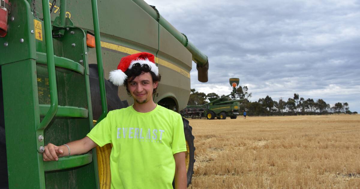 Harvest focus shifts south as summer croppers watch rain