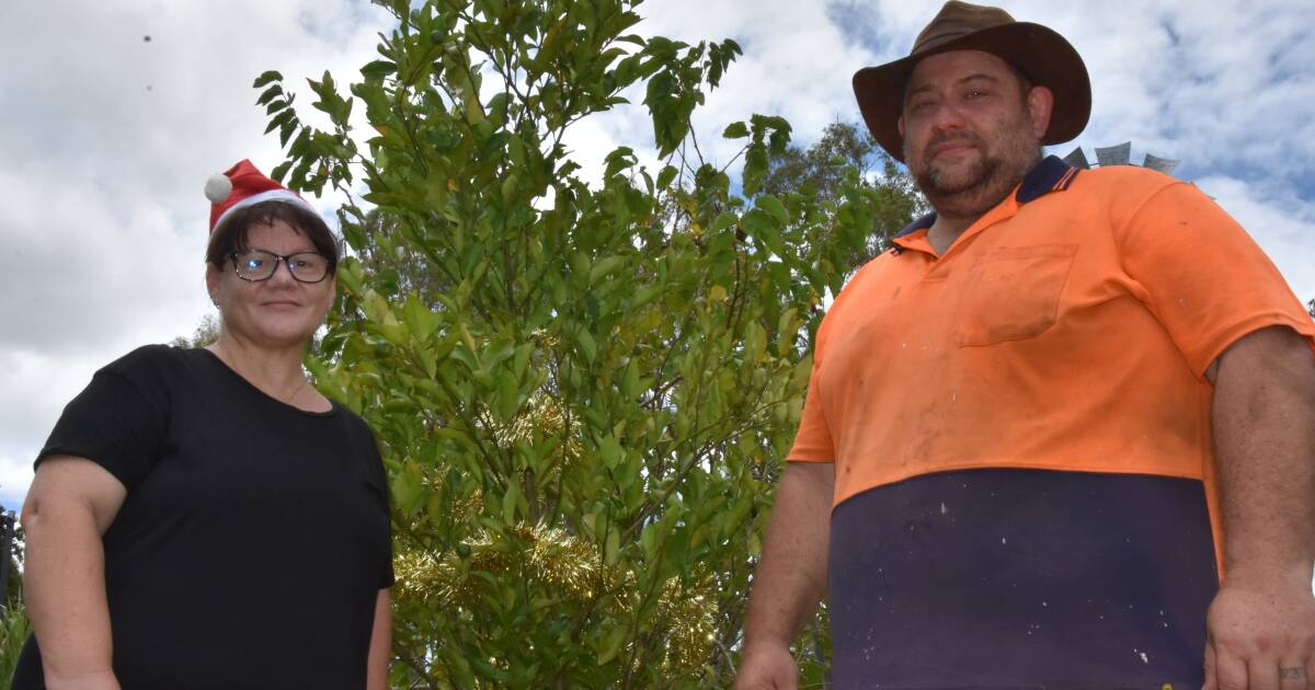 Leap Lychees misses out on lychee produce this year after little rain | North Queensland Register