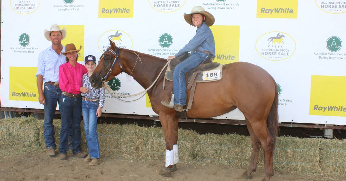 Lollipop leads sweet result at Dalby Stock Horse Sale