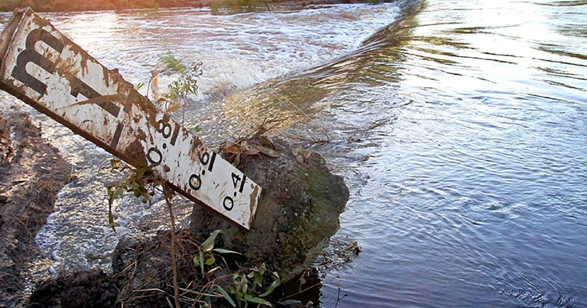 Flooded farmers face 'significant' livestock, pasture and feed losses