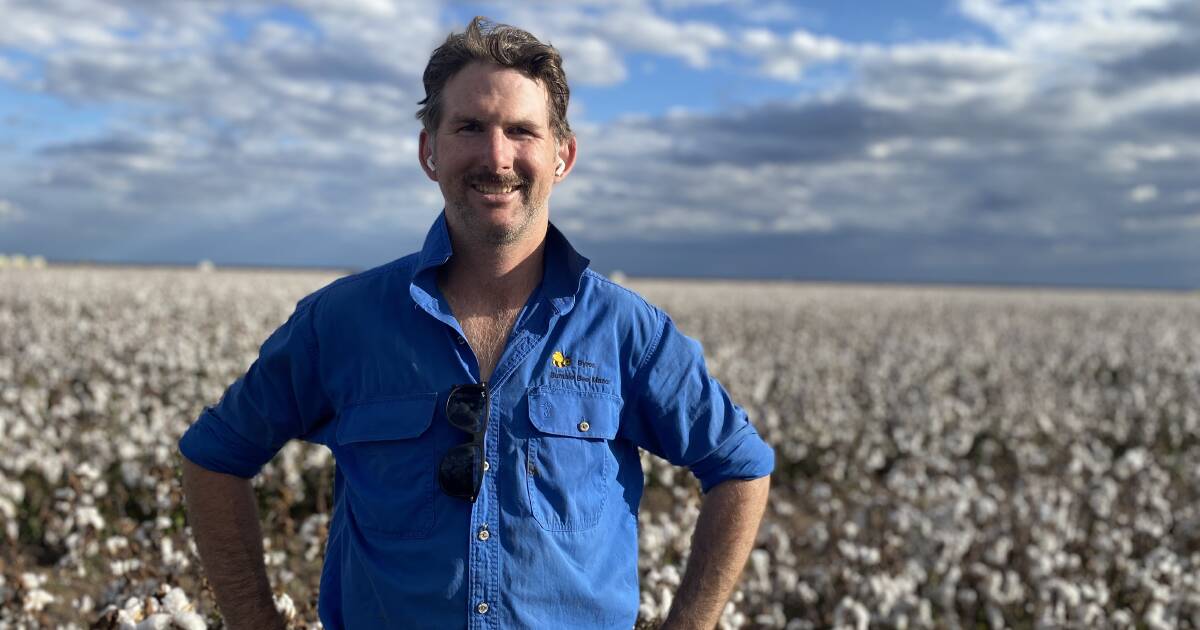 Resistance management in cotton a soft approach