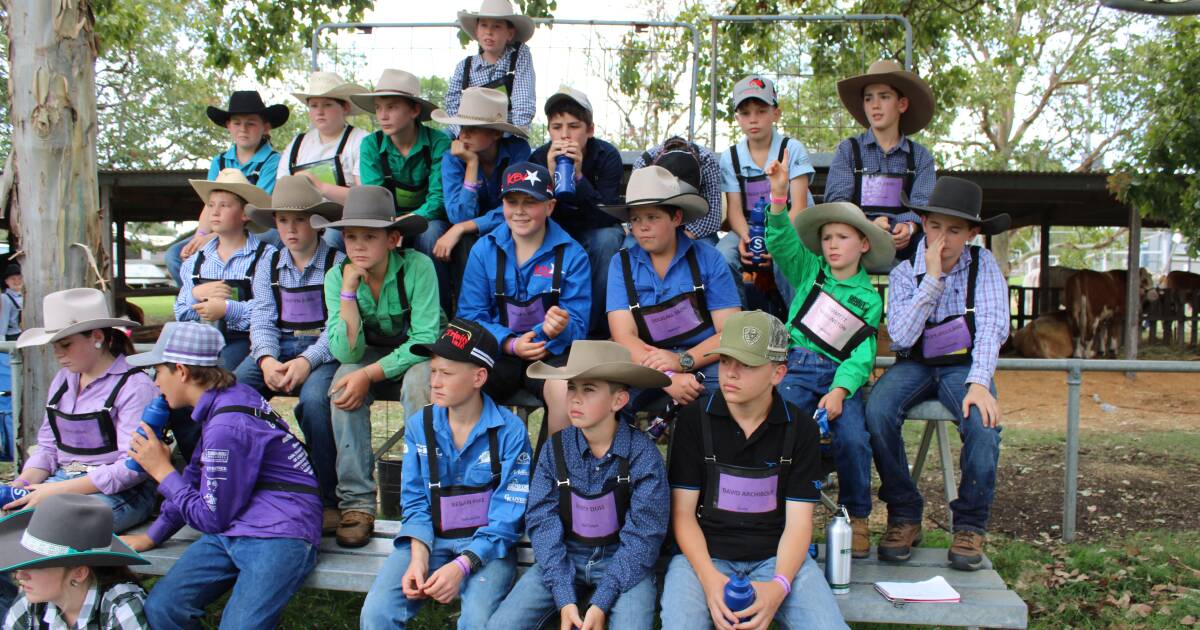 Simmental Australia beefs up the next generation at Pittsworth Showgrounds | Queensland Country Life