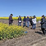 The Punter hangs on following Elders AGM | The Land