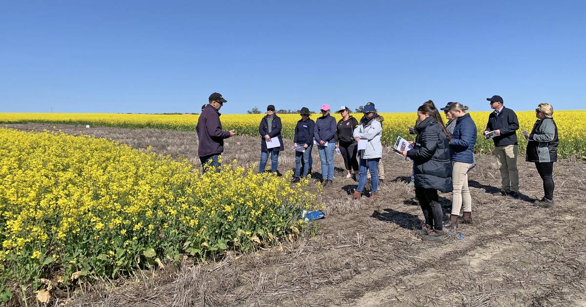 Corrigin Farm Improvement Group produce new videos for better soils