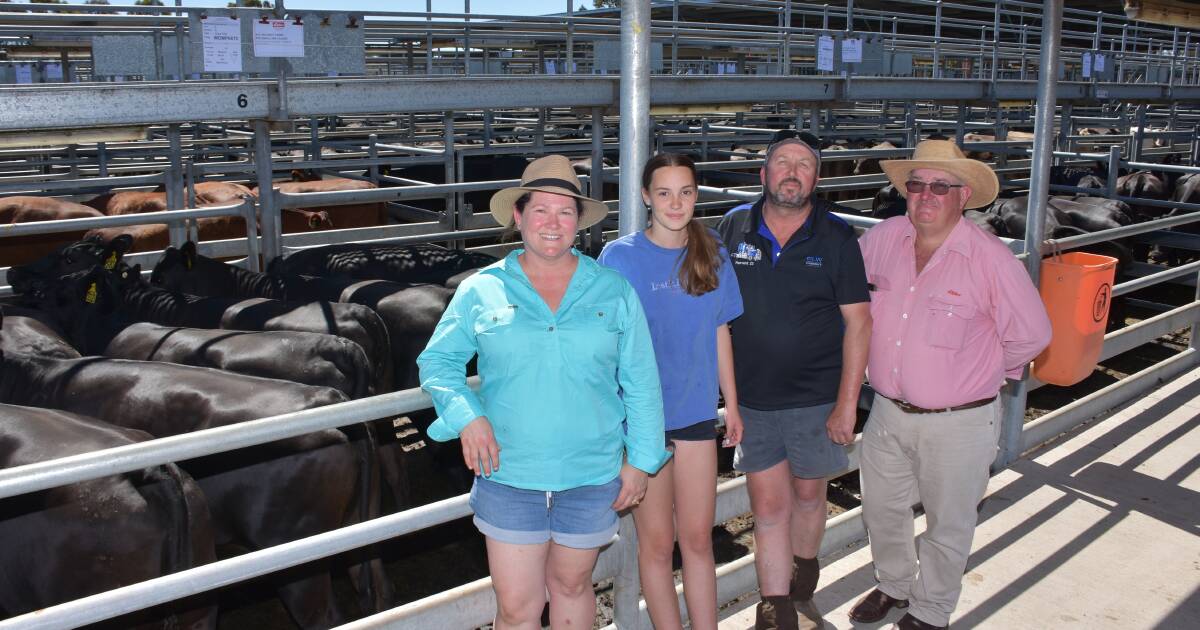 Record prices at Ray Norman Memorial Breeders Sale | Farm Weekly