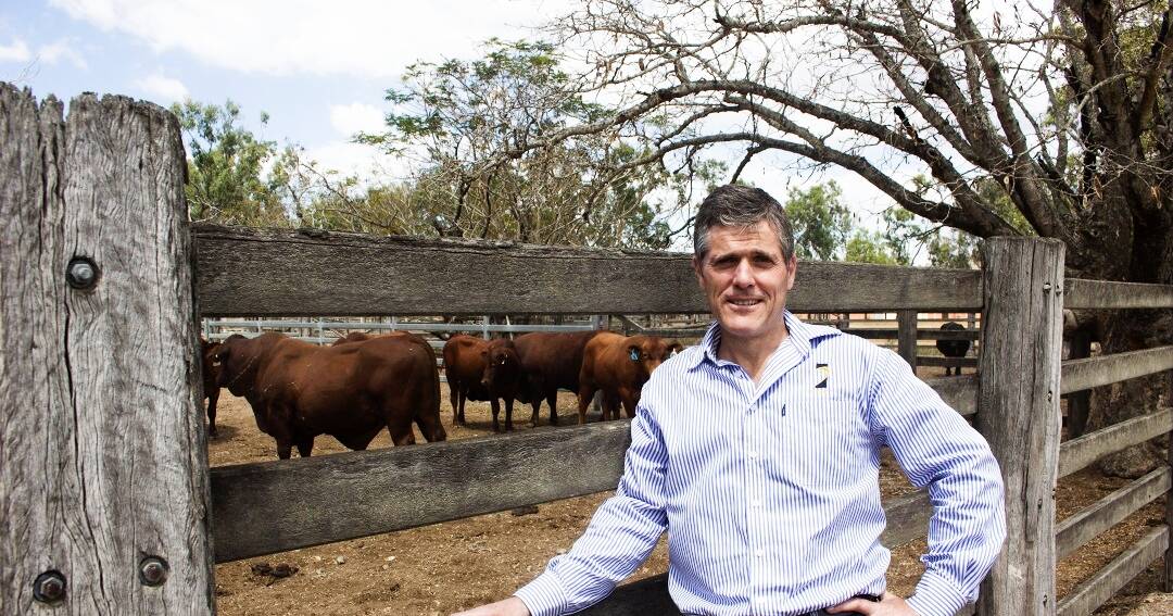 Ag industry response mixed to Queensland budget update | Queensland Country Life